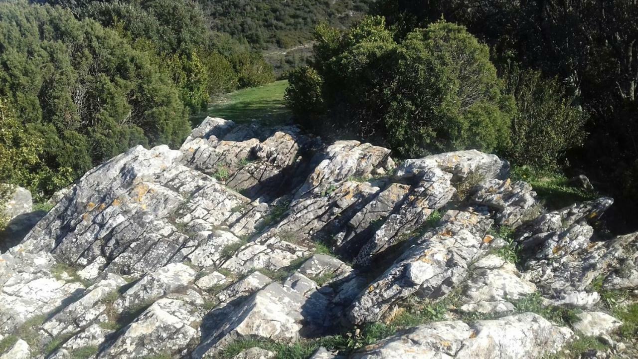 Le Gite De Cristal Proche Bugarach Granes Екстериор снимка